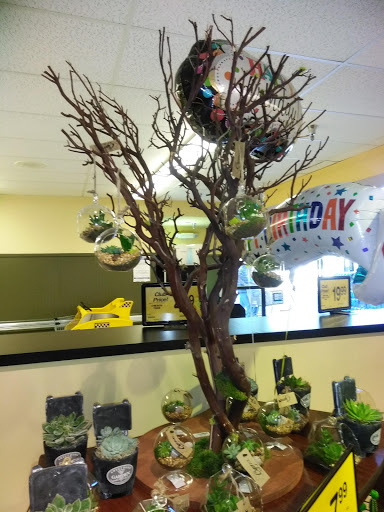 Grocery Store «Safeway», reviews and photos, 3185 Apache Trail, Apache Junction, AZ 85220, USA