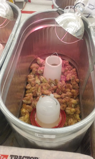 Home Improvement Store «Tractor Supply Co.», reviews and photos, 1740 N Belt Line Rd, Mesquite, TX 75149, USA