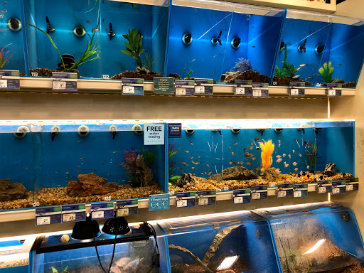 Pet Supply Store «PetSmart», reviews and photos, 3585 N Shiloh Dr, Fayetteville, AR 72703, USA