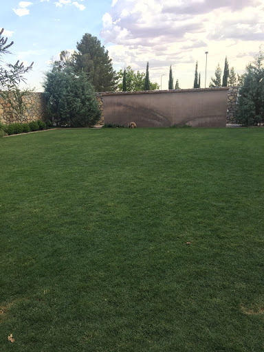 Hotel «Hotel Encanto de Las Cruces», reviews and photos, 705 S Telshor Blvd, Las Cruces, NM 88011, USA