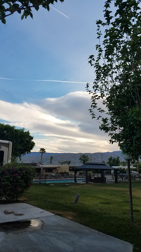 RV Park «Shadow Hills RV Resort», reviews and photos, 40655 Jefferson St, Indio, CA 92203, USA