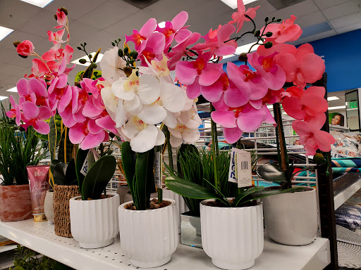 Clothing Store «Ross Dress for Less», reviews and photos, 17880 Newhope St, Fountain Valley, CA 92708, USA