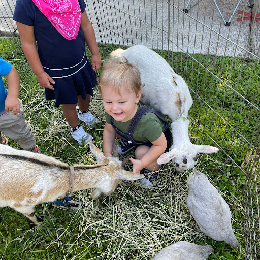 Day Care Center «Best Memories Academy», reviews and photos, 5135 Curry Ford Rd, Orlando, FL 32812, USA