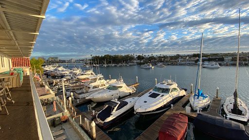 Bluewater Grill image