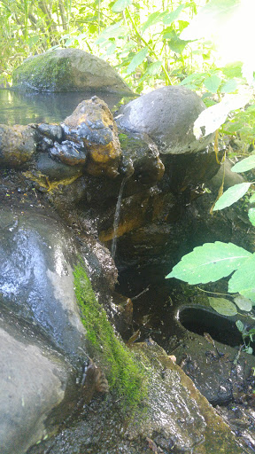 Nature Preserve «Maplewood Nature Center», reviews and photos, 2659 E 7th St, St Paul, MN 55119, USA