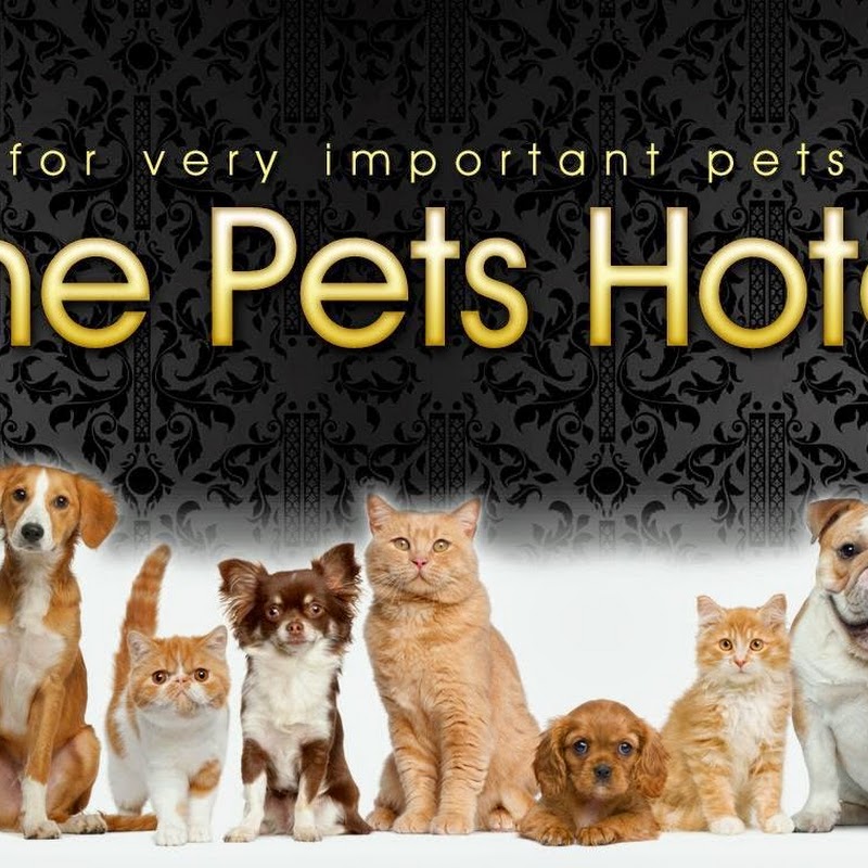 The Pets Hotel