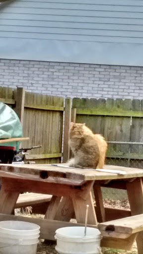 Home Improvement Store «The Home Depot», reviews and photos, 1120 Vann Dr, Jackson, TN 38305, USA