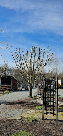 Carmona Landscaping and Tree Services - Photo 7 - Car repair in , Marysville