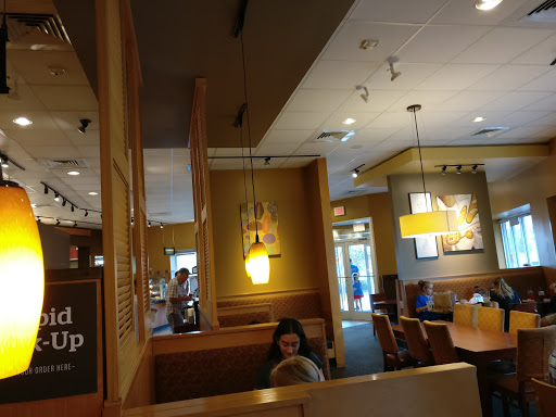 Sandwich Shop «Panera Bread», reviews and photos, 3234 Little Rd, Trinity, FL 34655, USA