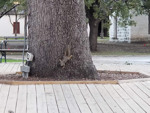 Park «Hemisfair Park», reviews and photos, 434 S Alamo St, San Antonio, TX 78205, USA