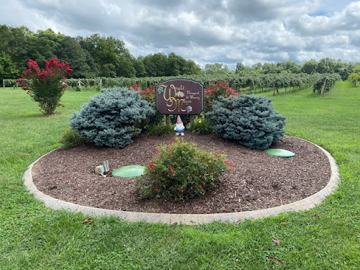 Winery «Wight Vineyards & Winery», reviews and photos, 340 Meyer Dr, Shepherdsville, KY 40165, USA