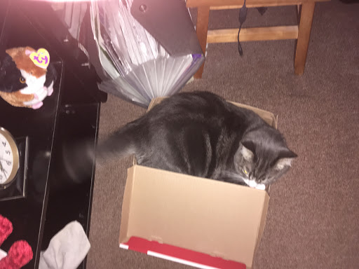 Discount Store «Walmart», reviews and photos, 465 Bridgeport Ave, Shelton, CT 06484, USA