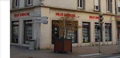 SARL COLLIN IMMOBILIER à Lunéville