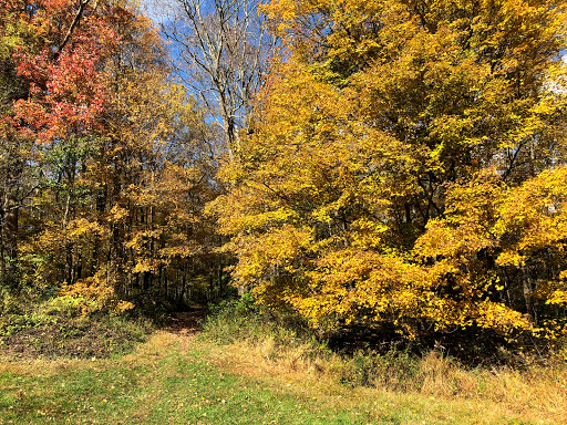Nature Preserve «Kitchawan Preserve», reviews and photos, 712 Kitchawan Rd, Ossining, NY 10562, USA