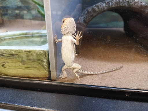 Pet Supply Store «Petco Animal Supplies», reviews and photos, 1610 Avenue Y, Brooklyn, NY 11235, USA