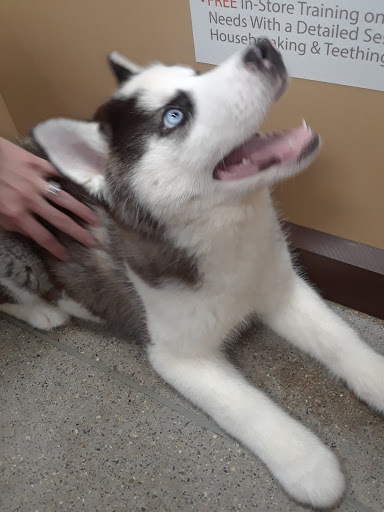 Pet Supply Store «Pet Supplies Plus», reviews and photos, 1810 Declaration Dr, Independence, KY 41051, USA