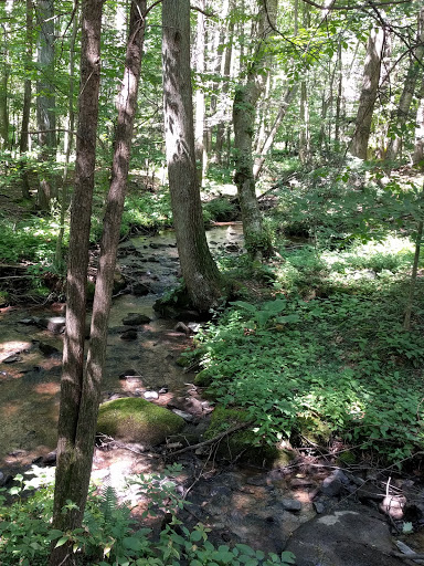 Nature Preserve «Strawberry Hill Nature Preserve», reviews and photos, 1537 Mt Hope Rd, Fairfield, PA 17320, USA