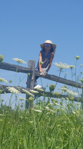 Nature Preserve «Orland Grassland», reviews and photos, 167th Street & S La Grange Road, Tinley Park, IL 60487, USA