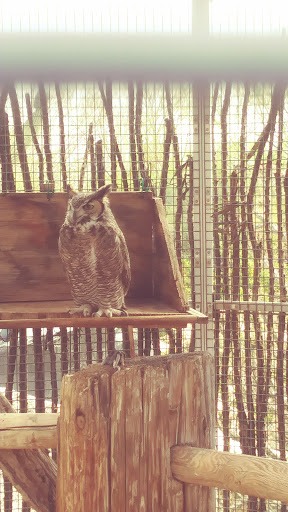 Wildlife Rescue Service «Southwest Wildlife Conservation Center», reviews and photos, 27026 N 156th St, Scottsdale, AZ 85262, USA