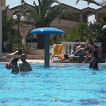 Photo n°1 de l'avis de Chiara.o fait le 11/08/2019 à 14:58 sur le  Village Grand Plan à Vieste Foggia