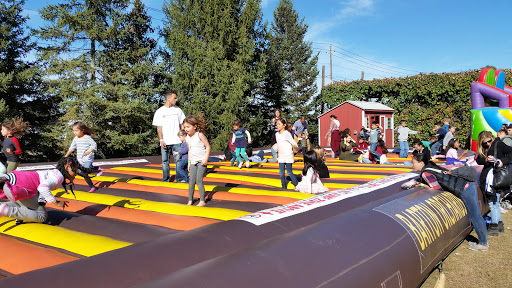 Orchard «Barton Orchards - Noxon Road Store Open Year Round - The Farm is CLOSED for the Season.», reviews and photos, 63 Apple Tree Ln, Poughquag, NY 12570, USA
