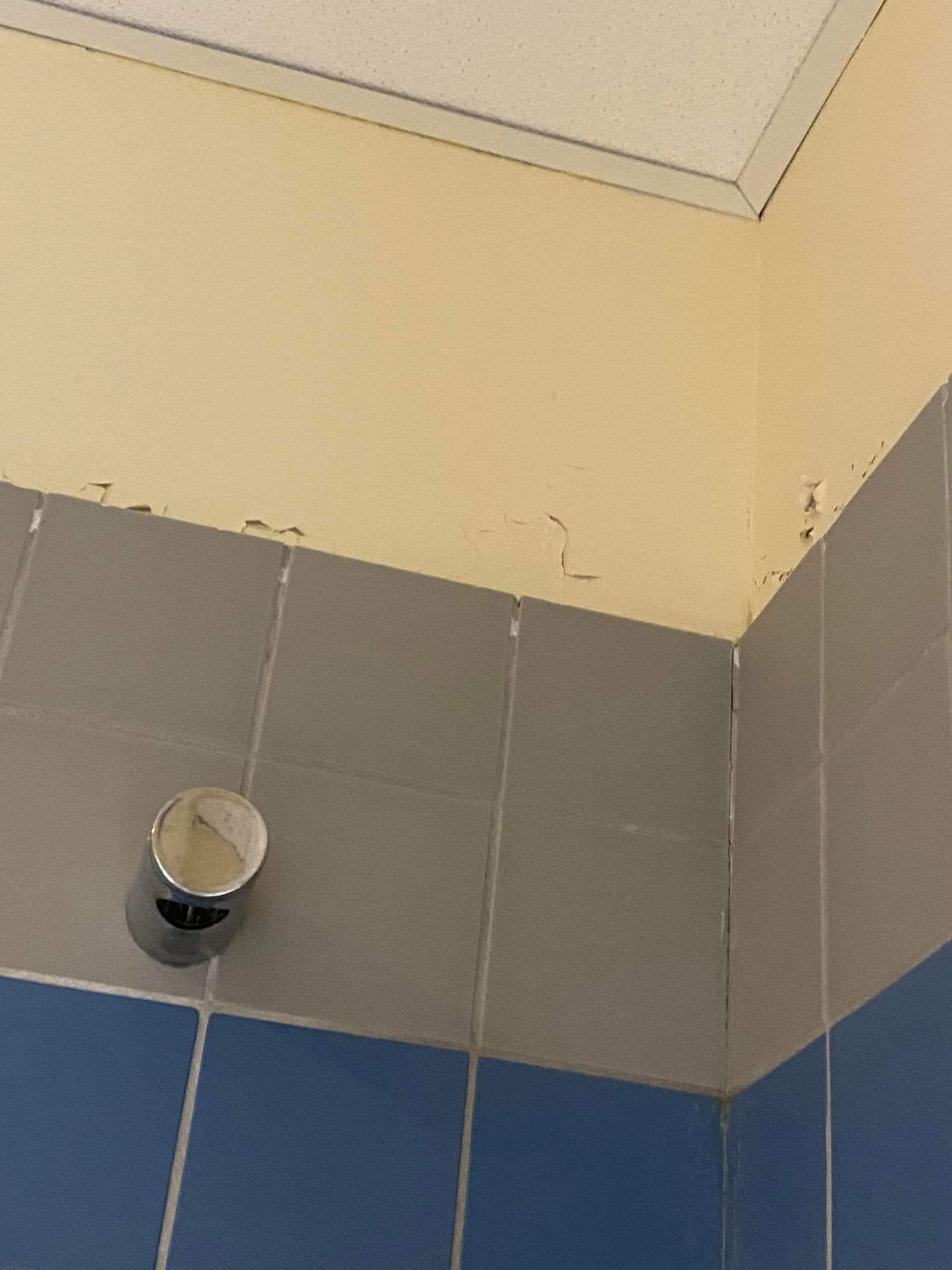 Photo n° 7 de l'avis de anne.e fait le 24/06/2022 à 17:34