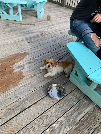 Bar & Grill «Sharkies On The Beach Bar & Grill», reviews and photos, 10 Surf Dr, Surfside Beach, TX 77541, USA