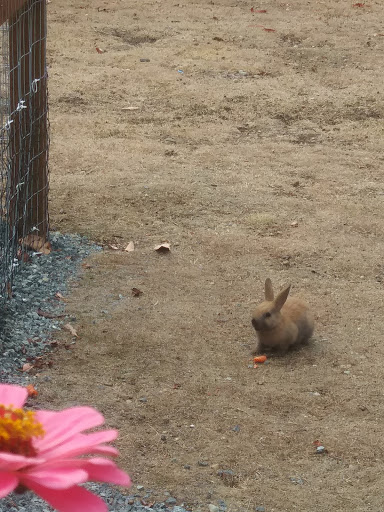 Whidbey Homeless Coalition