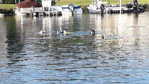 Tourist Attraction «Fun 2 Dive - Swim with Manatees», reviews and photos, 135 NE 3rd St, Crystal River, FL 34429, USA