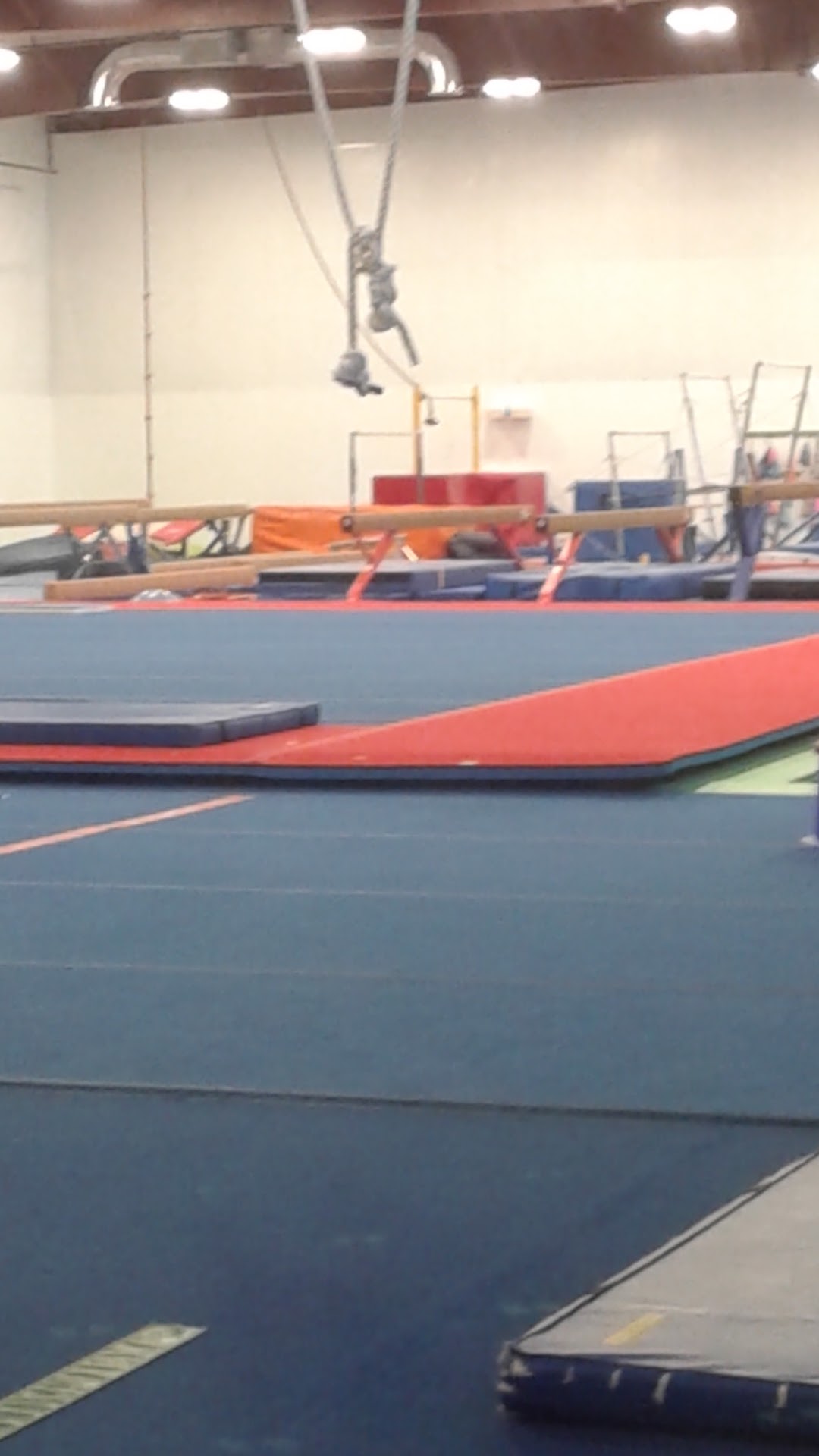 Twisters Gymnastics Inc