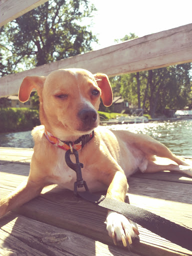 Park «Crooked Lake Park», reviews and photos, 13180 Crooked Lake Blvd NW, Coon Rapids, MN 55448, USA