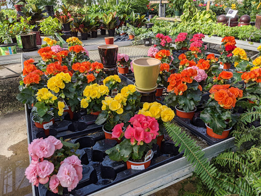 Florist «Nunan Florist & Greenhouses», reviews and photos, 269 Central St, Georgetown, MA 01833, USA