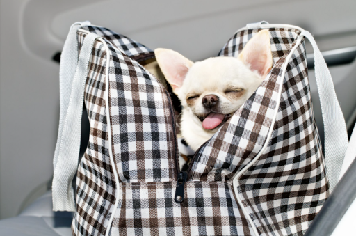 Pet Store «Pet Resources», reviews and photos, 814 Westchester Ave, Bronx, NY 10455, USA