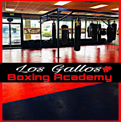 Los Gallos Boxing Academy - 385 N Spruce Ave, Rialto, CA 92376