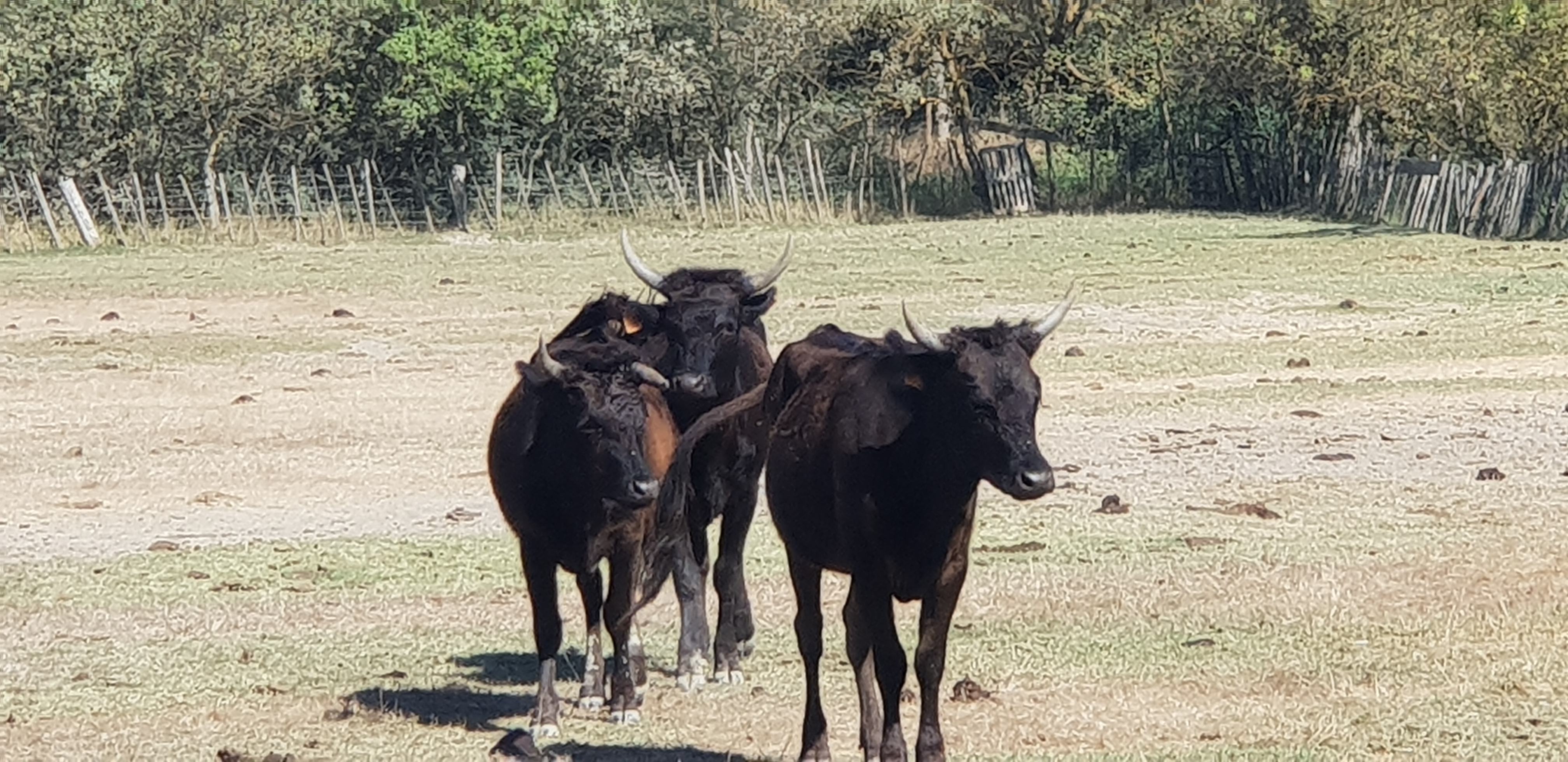 Photo n° 5 de l'avis de Morgane.e fait le 29/09/2019 à 00:26