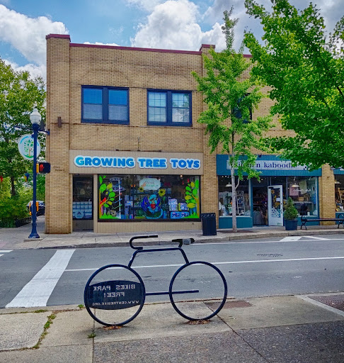 Gift Shop «Growing Tree Toys», reviews and photos, 202 S Allen St, State College, PA 16801, USA