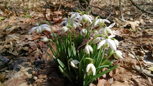 Park «Potomac Overlook Regional Park», reviews and photos, 2845 Marcey Rd, Arlington, VA 22207, USA