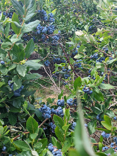 Liebig Berries