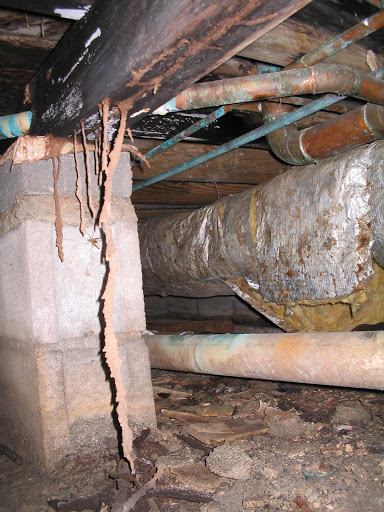 Pest Control Service «Universal Pest & Termite», reviews and photos