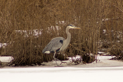 Park «East Rock Park», reviews and photos, 41 Cold Spring St, New Haven, CT 06511, USA