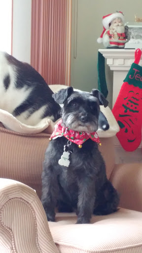 Pet Supply Store «PetSmart», reviews and photos, 2000 Clements Bridge Rd, Woodbury, NJ 08096, USA