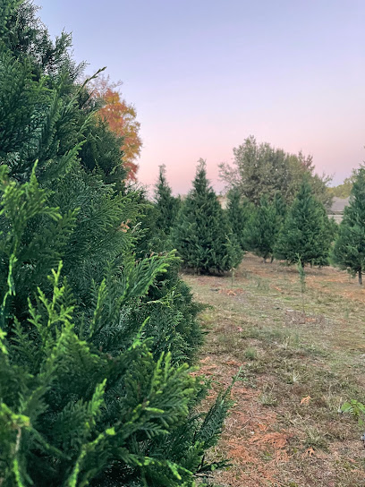 Murphy's Christmas Tree Farm