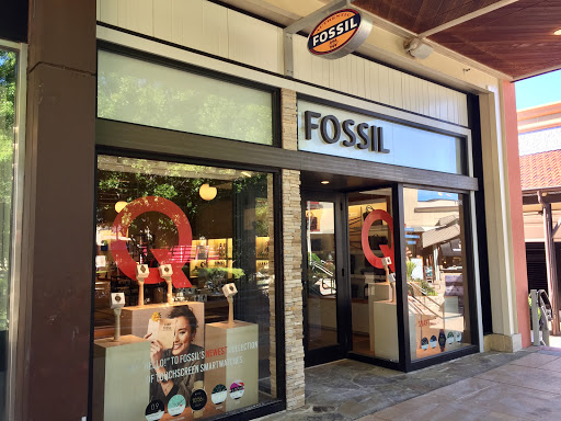 Fossil Store