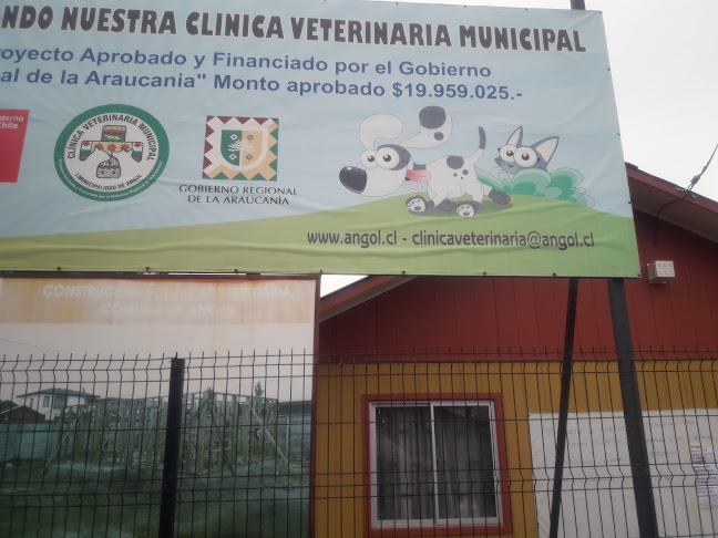 Opiniones de Veterinaria Municipal Angol en Angol - Veterinario