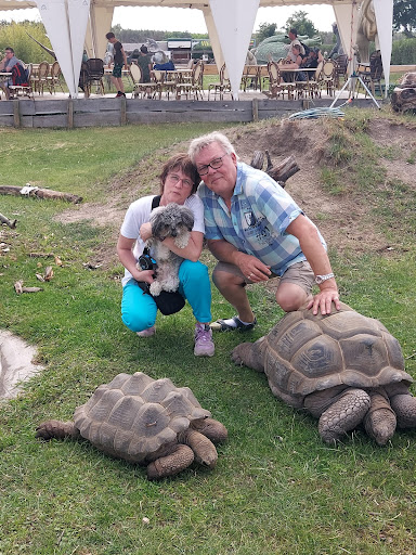 Tierarztpraxis Westermeyer unter Doberschütz, 