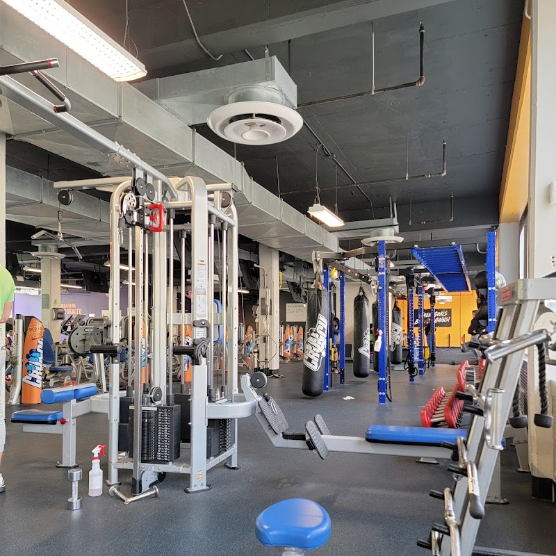 Crunch Fitness - Norwood