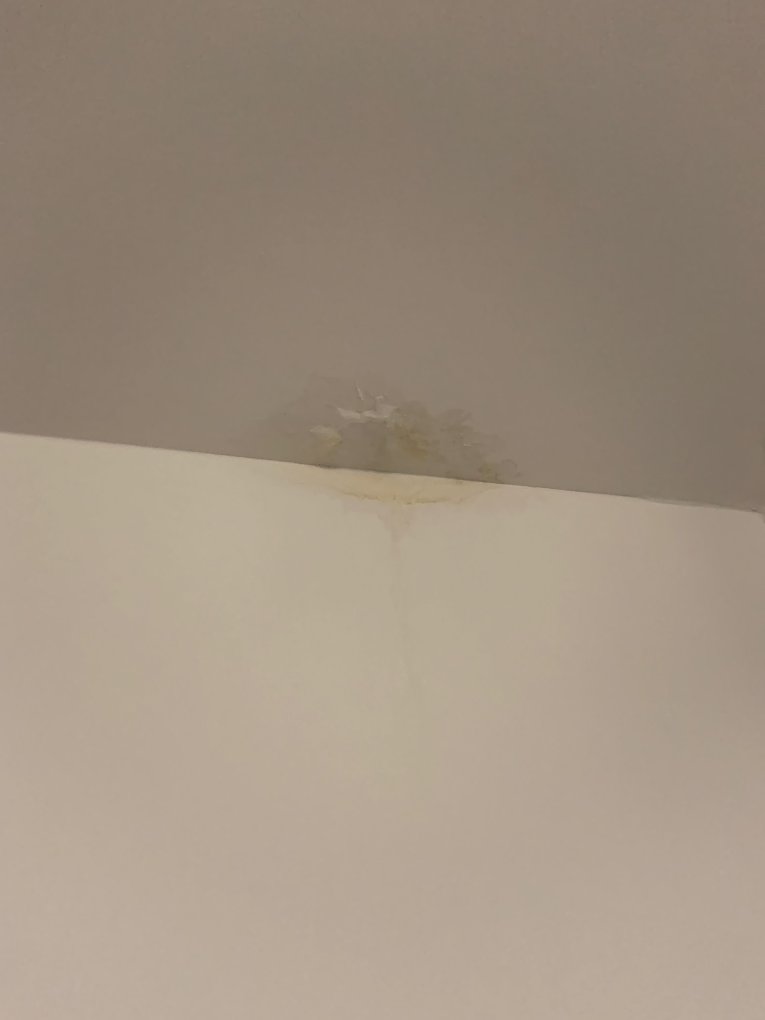 Photo n° 20 de l'avis de Bruno.a fait le 22/01/2023 à 17:42