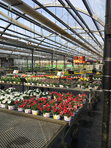 Garden Center «Dees Nursery & Florist», reviews and photos, 69 Atlantic Ave, Oceanside, NY 11572, USA