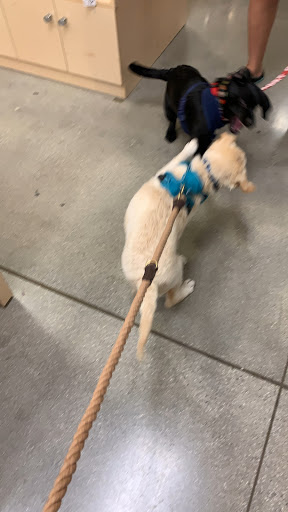 Pet Supply Store «Petco Animal Supplies», reviews and photos, 2910 Wilshire Blvd, Santa Monica, CA 90403, USA