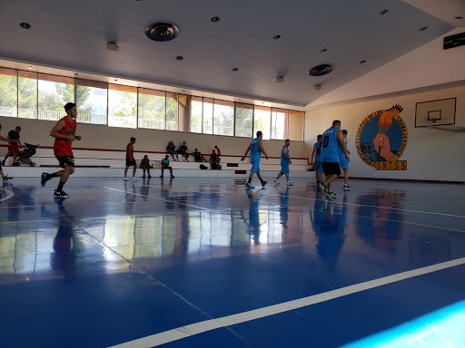 Gimnasio Imss - El Palomar, 31204 Chihuahua, Chih., México